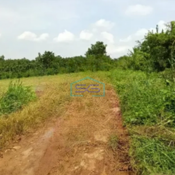 Dijual Cepat Tanah Industri di Subang Jawa Barat Luas 53000m2-2