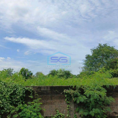 Dijual Tanah di Daan Mogot Tangerang Luas Tanah  4206 m²-2