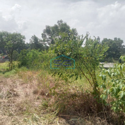 Dijual Tanah di Sawangan Depok Luas Tanah 11000 m²