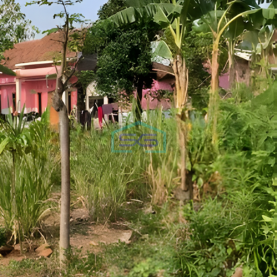 Dijual Tanah Pinggir Jalan Siap Bangun Trangkil Mojoagung Pati Jawa Tengah LT 1470m2