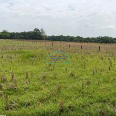 Dijual Tanah Kavling Industri di Subang Jawa Barat Pinggir Jalan Raya LT 300 Ha