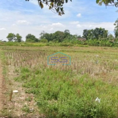 Dijual Tanah Kavling Industri di Subang Jawa Barat Pinggir Jalan Raya LT 300 Ha