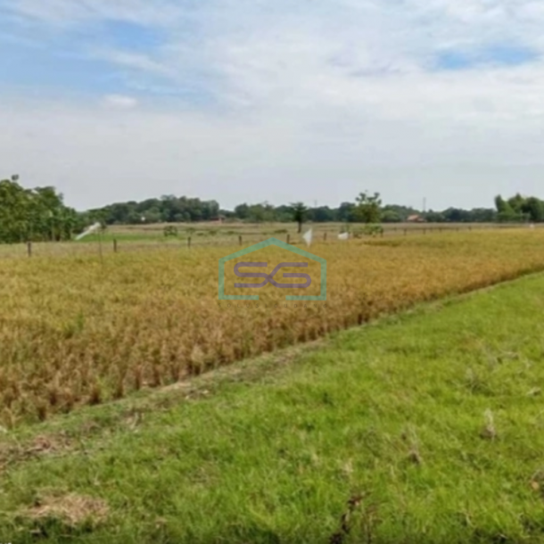 Dijual Tanah Kavling Industri di Subang Jawa Barat Pinggir Jalan Raya LT 300 Ha-1