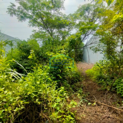 Dijual Tanah Kavling Dalam Kawasan Industri Luas Tanah Cikarang Bekasi 1350m2