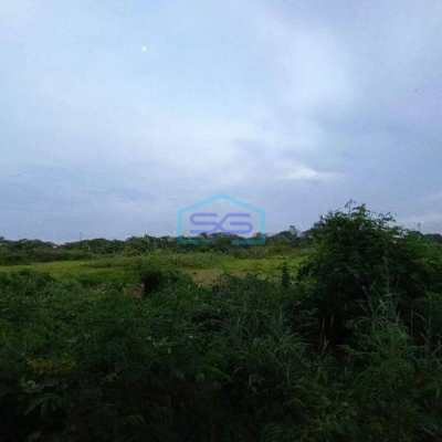 Dijual Lahan Dan Bangunan Gudang Area Luar Kawasan Jababeka Bekasi LT 16000m2-3