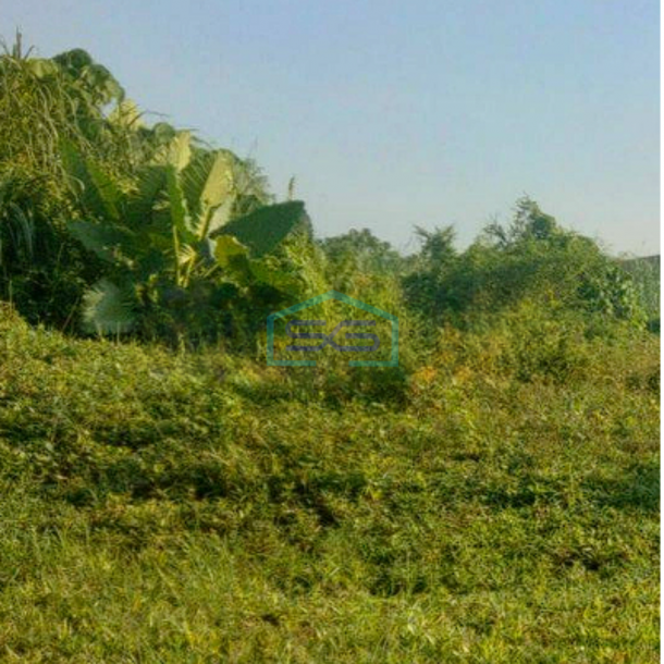 Dijual Tanah Dalam Kawasan Industri Area Lippo Cikarang LT 2520m2-1