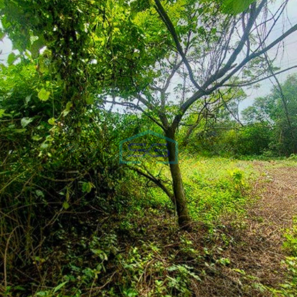 Dijual Tanah Kavling Dalam Kawasan Industri Lokasi di Cikarang Strategis-3