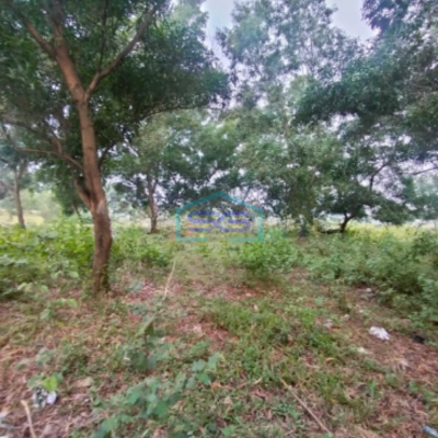 Dijual Tanah Komersil Strategis di Delta Mas Bekasi Luas Tanah 2500m2