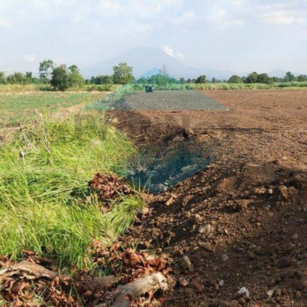 Dijual Cepat Tanah Jalan Raya Gending Probolinggo LT 24000m2-2