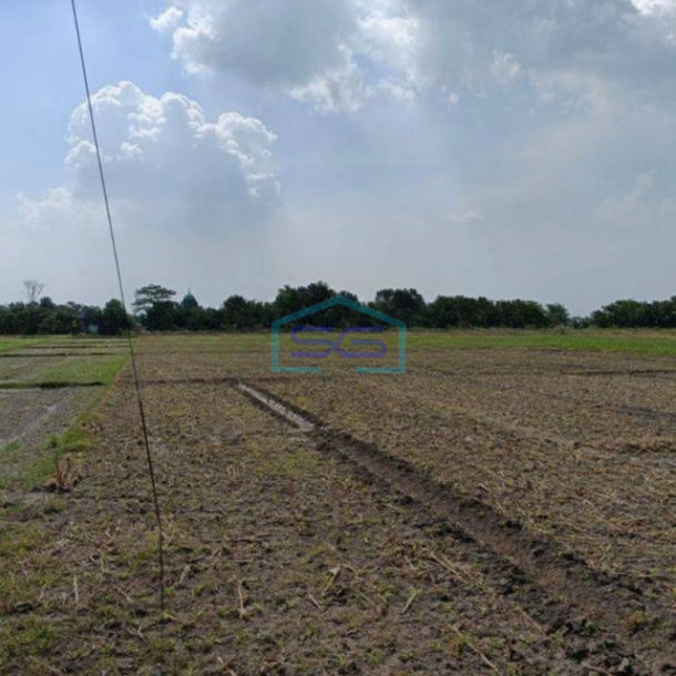 Dijual Cepat Tanah Jalan Raya Gending Probolinggo LT 24000m2-1