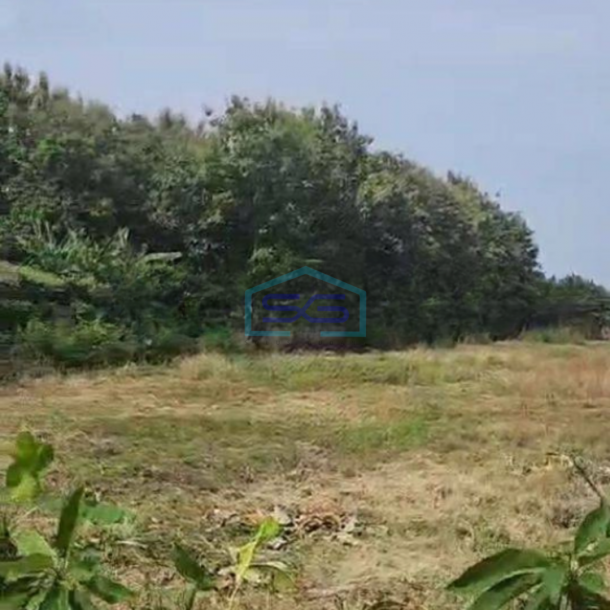 Dijual Cepat Tanah Jalan Raya Gending Probolinggo LT 24000m2-3