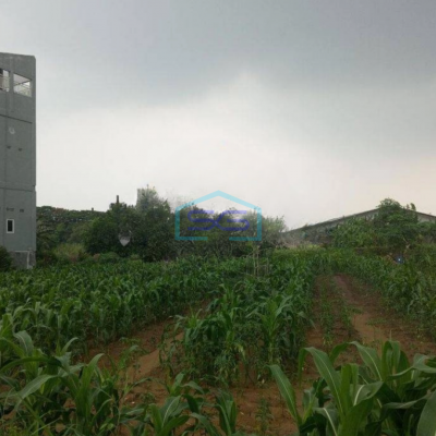 Dijual Tanah Gudang Wringin Anom Gresik Kawasan Industri LT 13591m2-2