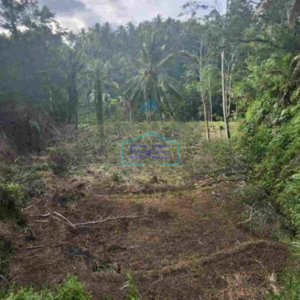 Dijual Murah Tanah di Ubud Bali LT 6400m2-1