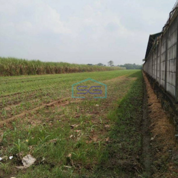 Dijual Tanah Area Komersial Gudang Industri Raya Pacing Mojokerto LT 50000m2-3
