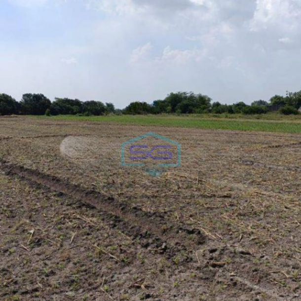 Dijual Tanah di Mojokerto Cocok Untuk Gudang dan Pabrik LT 4809m2-1