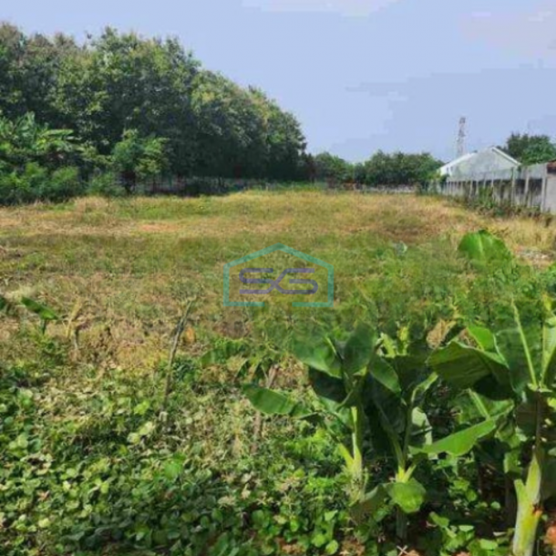 Dijual Cepat Tanah Lokasi Strategis Nol Jalan Raya Mlirip Mojokerto Dekat Pabrik Ciwi LT 5000m2-3
