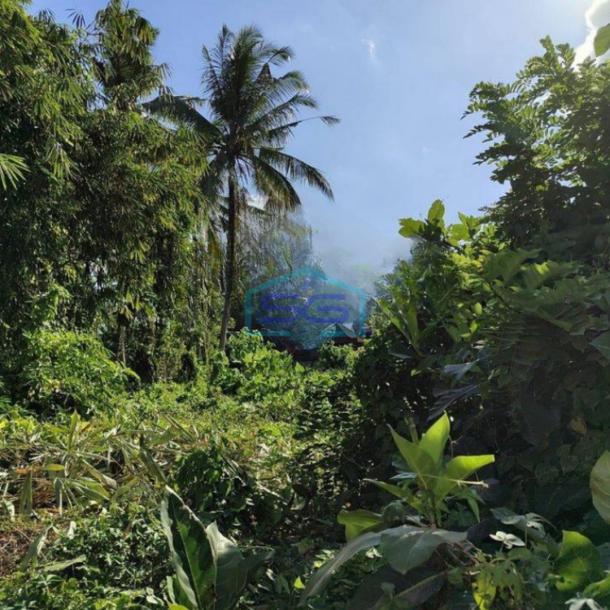 Dijual Cepat Tanah Sentral Ubud Bali LT 2400m2-1