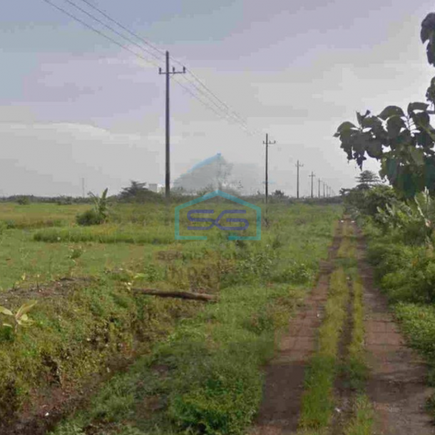 Dijual Cepat Tanah Gudang Industri Mojokerto LT 50000m2-1