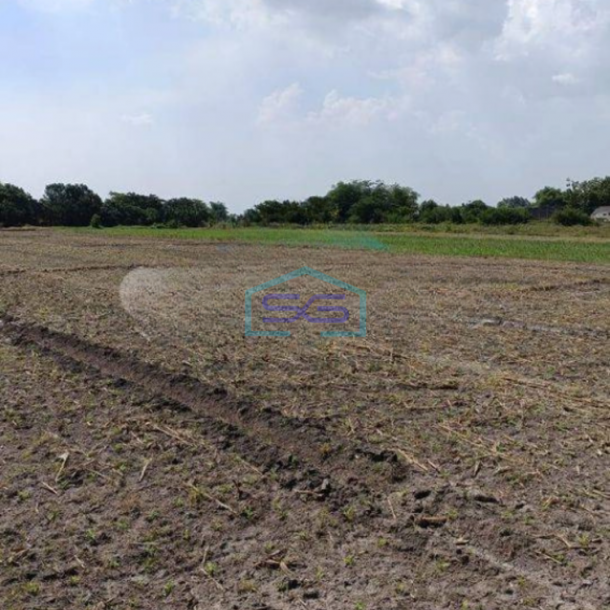 Dijual Cepat Tanah Gudang Industri Ngoro Jombang LT 80000m2-1