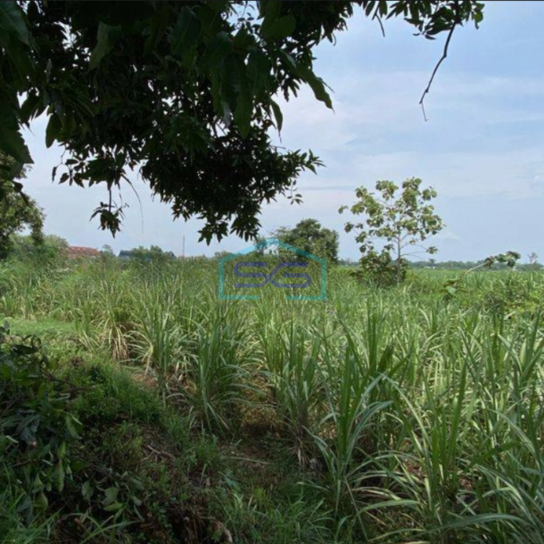 Dijual Tanah Gudang Industri Gedangan Area Bypass Mojokerto-1