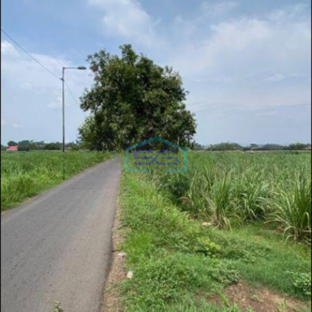 Dijual Tanah Gudang Industri Gedangan Area Bypass Mojokerto-2
