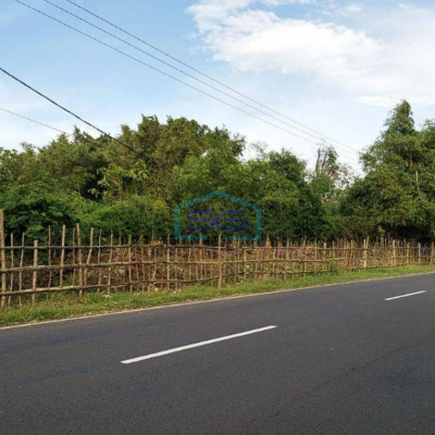 Dijual Tanah di Bangkalan Madura, Jalan Raya Tanjung Bumi, dekat pantai pasir putih Tlangoh