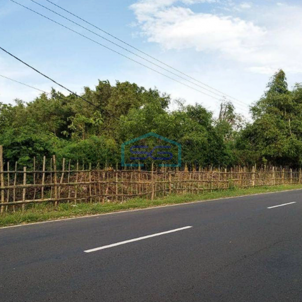 Dijual Tanah di Bangkalan Madura, Jalan Raya Tanjung Bumi, dekat pantai pasir putih Tlangoh-1