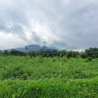 Dijual Sampai Deal! Tanah di Karang Asem, Tulamben Bali LT 29887m2