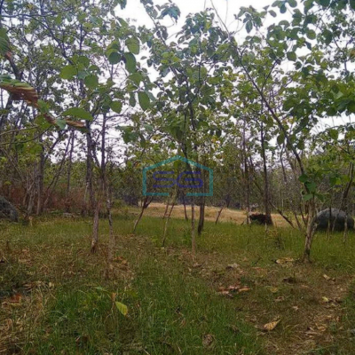 Dijual Tanah Tuban,Ds Prunggahan Kulon, Kec. Semanding, Tuban LT 4738m2