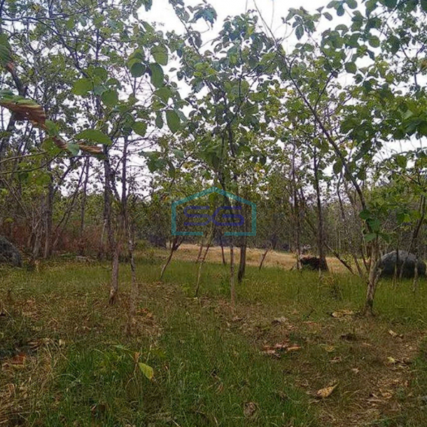 Dijual Tanah Tuban,Ds Prunggahan Kulon, Kec. Semanding, Tuban LT 4738m2-1