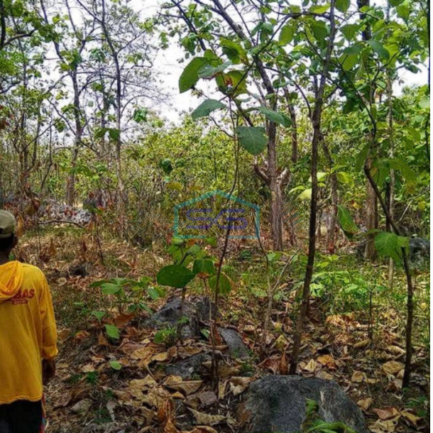 Dijual Tanah Tuban,Ds Prunggahan Kulon, Kec. Semanding, Tuban LT 4738m2-2