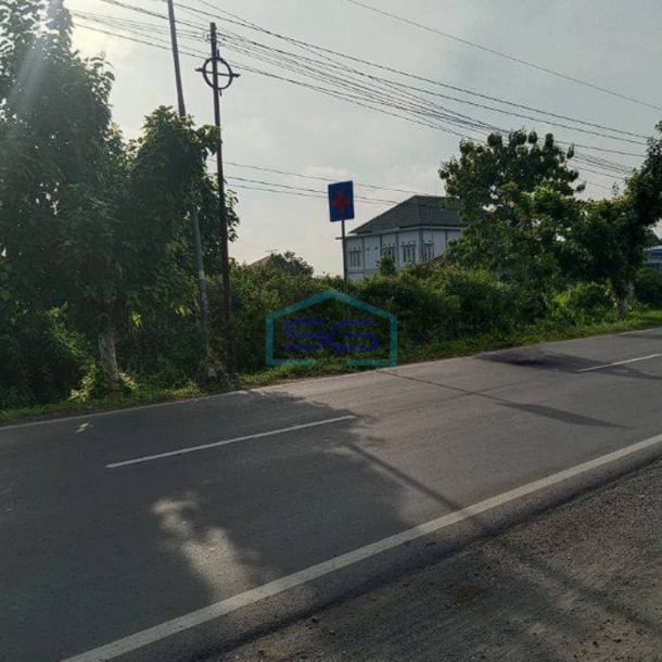 Dijual Tanah Nol Jalan Raya Babat, Bypass Bojonegoro - Jombang, Kecamatan Ploso LT 4770m2-1
