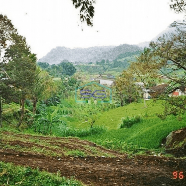 Dijual Lahan Tanah di Trawas Mojokerto LT 3101m2-1