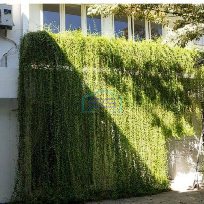 Disewakan Ruang Usaha Nol Jalan Raya Jemursari Surabaya Luas 800m2