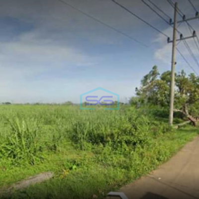 Dijual Tanah di Winongan, Mojoagung, Jombang Luas Tanah  33000 m²