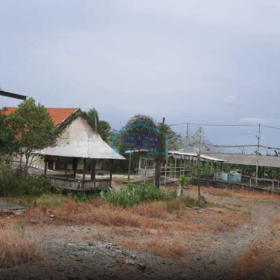 Dijual Tanah Kandang/Ternak Sapi di Desa Windurejo, Kutorejo, Mojokerto Luas Tanah  32000 m²