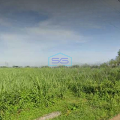 Dijual Tanah Luas 33000 m² Lokasi Bebas Banjir di Mojoagung Jombang Jawa Timur
