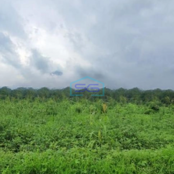 Dijual Tanah Luas 29887 m² Lokasi Karangasem Tulamben Bali-1