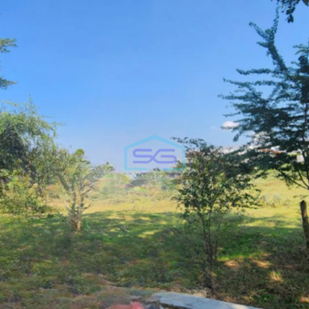 Dijual Tnaah di Kawasan Industri Tuban Jawa Timur Luas 20540 m²-1