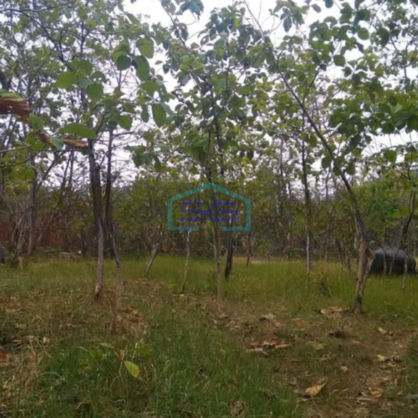 Dijual Tanah Luas  4738 m² Lokasi Tuban Jawa Timur-1