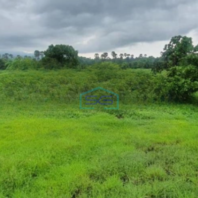 Dijual Tanah Luas  7200 m² Lokasi Strategis di Rungkut Surabaya