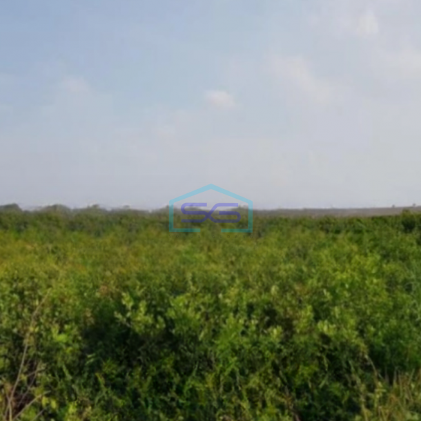 Dijual Tanah Luas 4647 m2 Lokasi Mragomulyo Surabaya-1