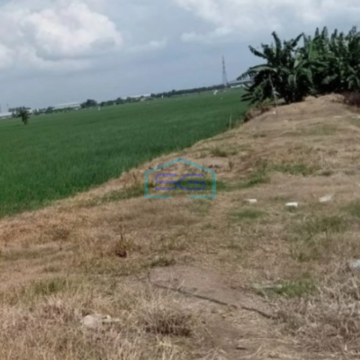 Dijual Tanah Lokasi Bebas Banjir di Cikarang Timur Luas 1460000 m²