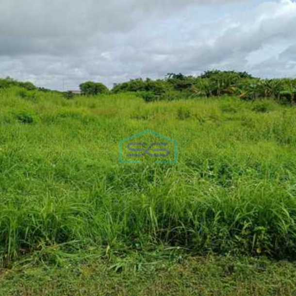 Dijual Tanah Luas  6170 m² Lokasi Dadap Jakarta Utara-1