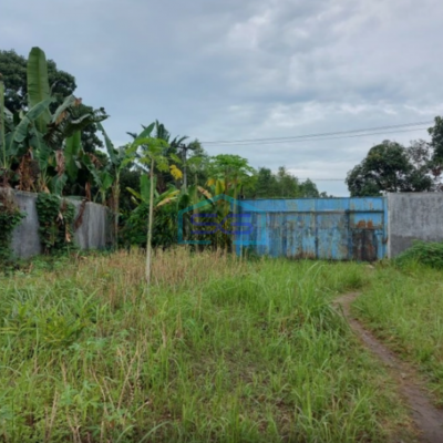 Dijual Tanah + Gudang di Klambir 5 Hamparan Perak Deli Serdang Sumatera Utara LT 3217m2