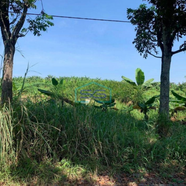 Dijual Tanah di Cibinong Hilir Cianjur LT 68000m2-1