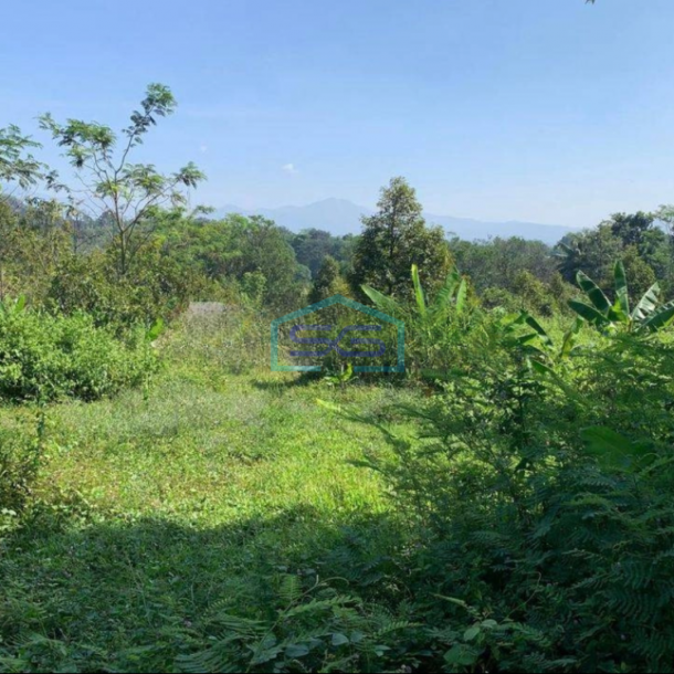 Dijual Tanah Di Cianjur Luas 27000m2-2