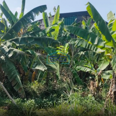 Dijual Tanah Di Sadang Taman Kopo Indah, Bandung Luas Tanah (PxL)  2610 m²