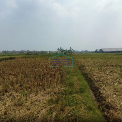 Dijual Lahan Tanah Industri Mojosari Kutorejo Mojokerto Jawa Timur Luas Tanah 70000m2