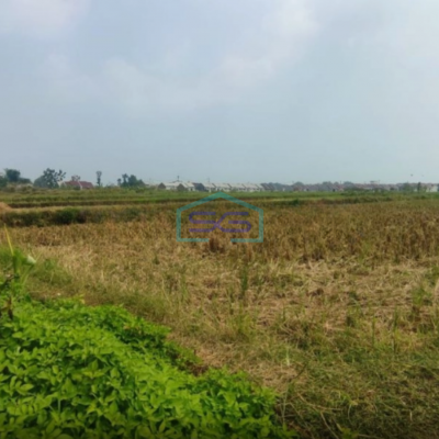Dijual Lahan Tanah Industri Mojosari Kutorejo Mojokerto Jawa Timur Luas Tanah 70000m2
